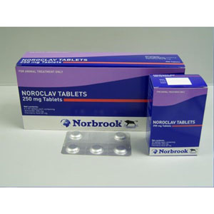 Нороклав таблетки (Noroclav Tablets)